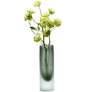 Váza NOBIS 20 cm, zelená, sklo, Philippi