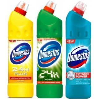 Domestos 24h Citrus fresh 750 ml (Domestos 24h Citrus fresh 750 ml)