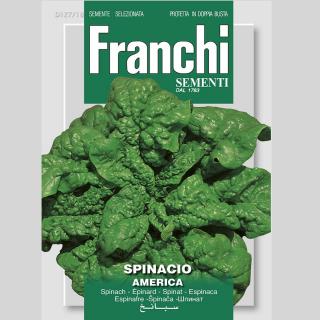 FRANCHI - SEMENÁ ŠPENÁT AMERICA (15 g)