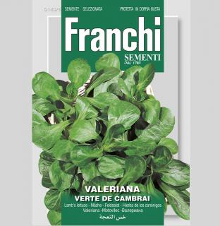 FRANCHI - VALERIANKA - VERTE DE CAMBRAI (5 g)