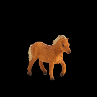 Animal Planet Shetlandský poník žriebä