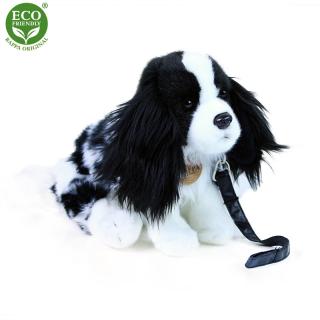 pes Kavalier s vodítkom 27 cm