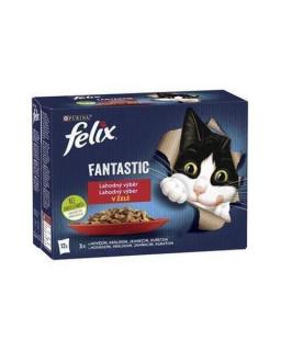 Nestlé FELIX Fantastic cat Multipack hovädzie, hydina, zelená fazulka  jahňa, kura, rajčiny  morka, kačka v želé kapsička 12x85 g