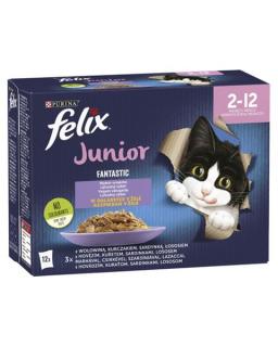 Nestlé FELIX Fantastic cat Multipack junior hovädzie, kura, sardinky, losos v želé kapsička 12x85 g