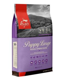 ORIJEN Dog Puppy Large Dry 11,4 kg