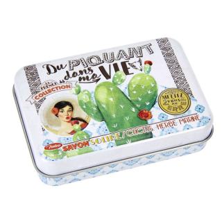 Francúzske mydlo s vôňou  kaktus-more-bylinky  v darčekovej retro krabičke  Du piquant