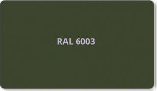 Protäck V 9L Odtieň: Zelená (RAL 6003)