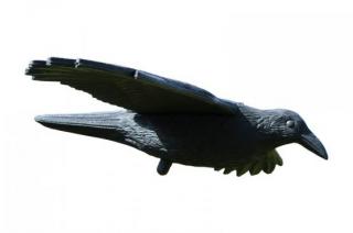 Záhradný plašič Havran, na vtáky (80 X 44 X 12cm)