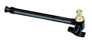 Extension ARM, FOMEI