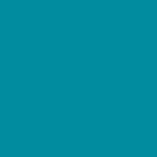 SLS HT 116 – Medium Blue Green, 61 x 53cm, FOMEI studiový filtr