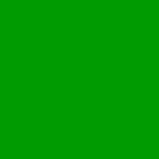 SLS HT 139 - Primary Green 61x53cm, FOMEI studiový filtr