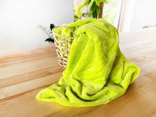 Mikroplyšová deka - svetlo zelená