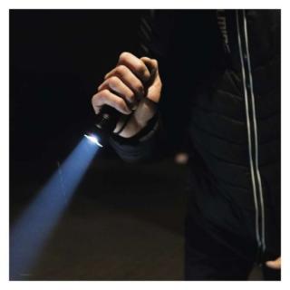 LED handheld metal flashlight P3113, 120 lm, 2× AAA, FOKUS