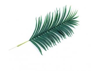 Umelý list palmový Areca, sada  75, 100, 110 alebo 120cm Varianta: 100cm