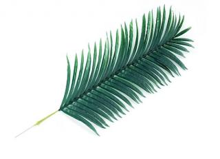 Umelý list palmový Areca, sada  75, 100, 110 alebo 120cm Varianta: 120cm