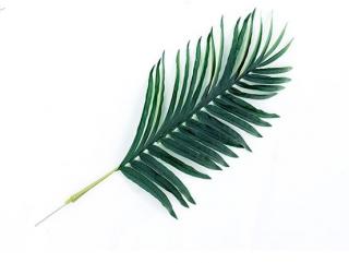 Umelý list palmový Areca, sada  75, 100, 110 alebo 120cm výška rastliny: 75cm