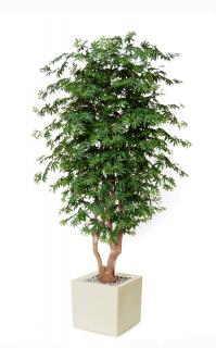 Umelý strom Maple Malabar  javor výška rastliny: 220cm zelená