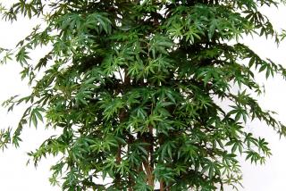 Umelý strom Maple Multistep  javor výška rastliny: 150cm zelená