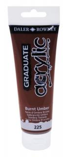 Akrylová farba D&R Graduate-  Burnt Umber 225 - 120 ml