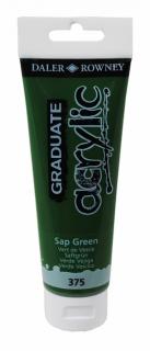 Akrylová farba D&R Graduate - Sap Green 375 - 120 ml