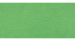 Akrylová farba LUKAS TERZIA - Chrome Green Light Hue 4951 - 500 ml