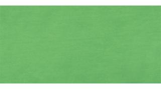 Akrylová farba LUKAS TERZIA - Chrome Green Light Hue 4951 - 500 ml
