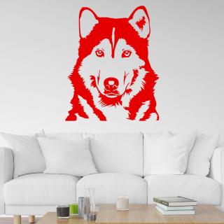 Samolepka Husky Farba: červená, Veľkosť: 80 x 65 cm