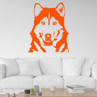 Samolepka Husky Farba: oranžová, Veľkosť: 100 x 81 cm