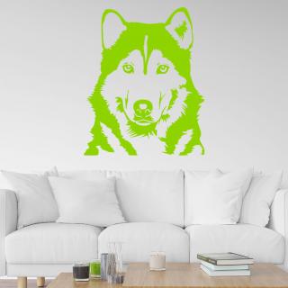Samolepka Husky Farba: zelená, Veľkosť: 80 x 65 cm