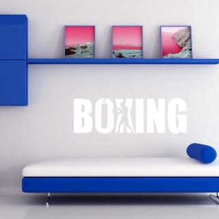 Samolepka Nápis boxing Farba: bílá, Veľkosť: 100 x 29 cm