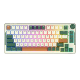 Mechanická klávesnica Royal Kludge RKH81 RGB, Sky cyan switch (zelená)