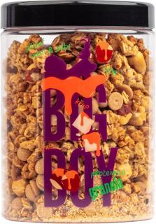BIG BOY Proteínová granola Sweet and Salty s príchuťou slaného karamelu, 360 g