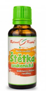 Bylinné kvapky Štětka soukenická, Duše rastlín - tinktúra, 30 ml