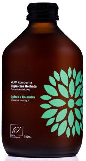 Vigo BIO kombucha uhorka a koriander, 330 ml