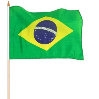 Brazília vlajka 45x30cm (vlajka Brazílie)