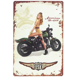 Retro ceduľa Harley Davidson Military 20x30cm (Plechová tabuľa - rozmery: 20x30cm, materiál: plech)