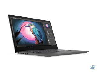 Lenovo V17 17.3"FH/i3-1005G1/8G/256/F/W10P notebook (LNN82GX0089CKS)