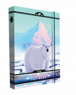 Box na zošity A4 KARTON P+P Ice Bear