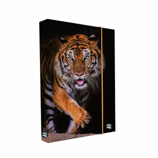 Box na zošity A4 KARTON P+P Jumbo Tiger