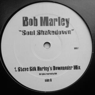 12&quot; Bob Marley ‎– Soul Shakedown
