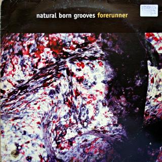 12&quot; Natural Born Grooves ‎– Forerunner