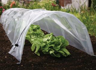 Parenisko Strend Pro Greenhouse 55x300x40 cm, mini fóliovník (55 x 300 x 40 cm)