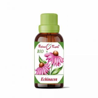 Echinacea purpurea BIO 50 ml