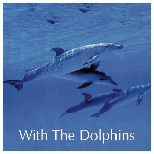 CD pieseň delfínov