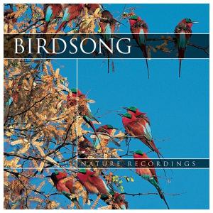 CD pieseň vtáčikov