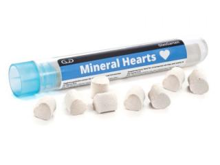 GlasGarten Mineral Hearts 2ks minerálov (Vzorka)