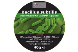 GT essentials Bacillus subtilis 10g (Vzorka)