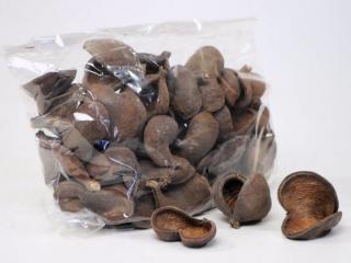 Shrimp Supplies Badam Nut 5-8cm - Badamový orech