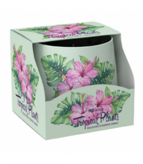 Santo Candles Tropical Plants 100g SAS 3018