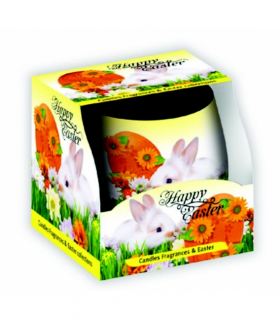 Santo Candles ZAJAC 100g SAS 6005